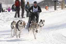 Lenk 2012 SM